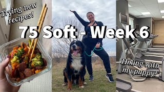 Creating Sustainable Habits for Continued Weight Loss | 75 Soft - Week 6 (My Journey) screenshot 4
