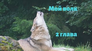 Мой волк 2 |Watashi no Oogami kun