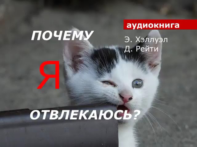 АУДИОКНИГА. Э. Хэллуэл Д. Рейти. Почему я отвлекаюсь?
