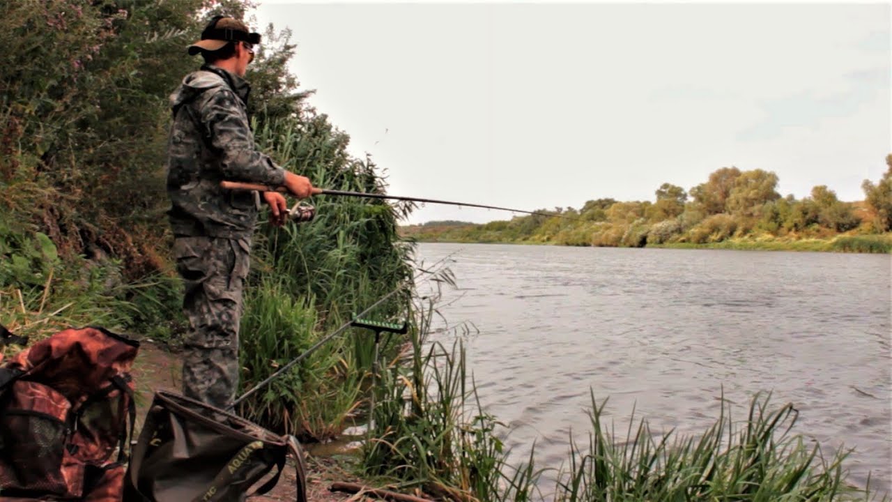 Фидер на Дону в Воронежской области.