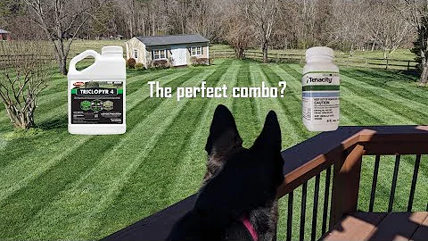 Tenacity and Triclopyr 4 - Real Deal Unsponsored Results