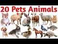 पालतू जानवरों के नाम 🐕 | 20 Pet Animals Names in English with Pictures | Kids Learning Video