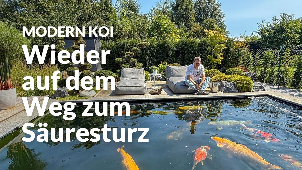 Die Wasserwerte an Mirkos 38.000l Koiteich | Modern Koi Blog #8167