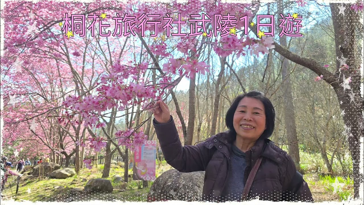 桐花旅行社115.02.25武陵1日遊