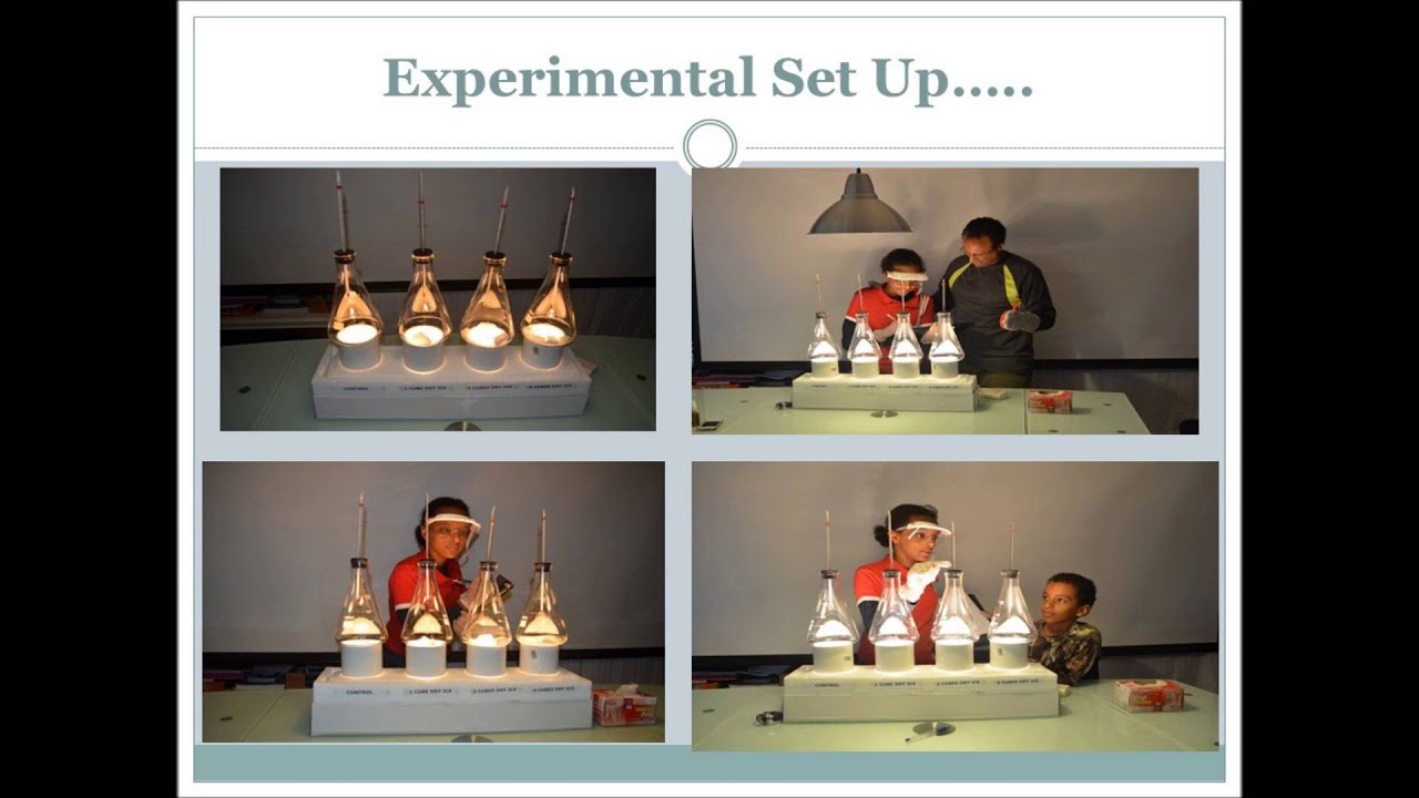 The Effect of Carbon Dioxide Emission on Global Weirding (Global Warming)