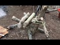 4泊5日ひと気の無いエデンを求めて..前編