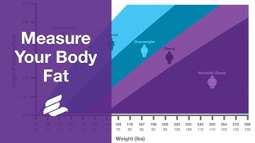 Measure Your Body Fat Using Body Mass Index
