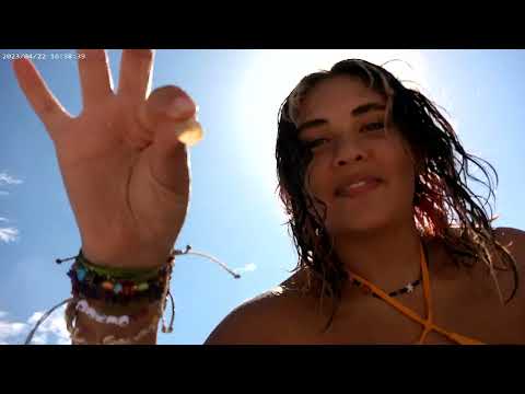 a few days at utampa, spring 2023