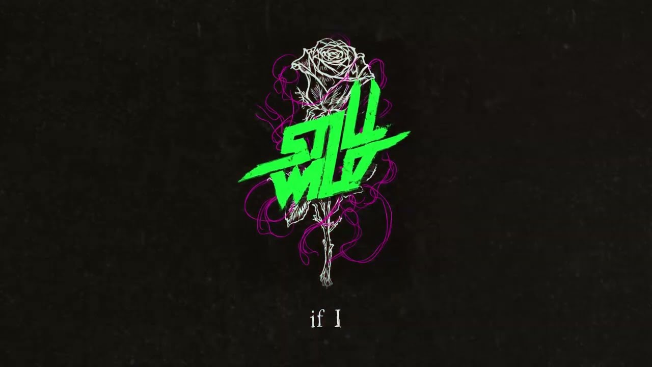 Still Wild - Don't Let Me Go