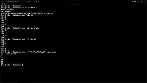 25 11 15, 인프라 기초, Bash 명령어, 38강, `sort` (텍스트 정렬)