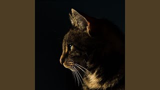 Modish Chillout Smooth Jazz - Vibe for Cozy with Cats