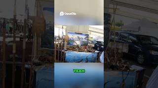 Riverside Arts Market in Jacksonville Florida