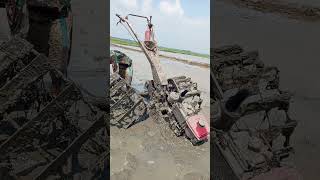 Patah baud #bebekpetelur #traktorsawah #petani #yanmar #kubota #impari #ciherang #viral #fyp
