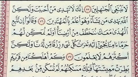 تلاوه خاشعه وماتيسر من سورة القصص بصوت الاستاذ محمد ربيع 💯