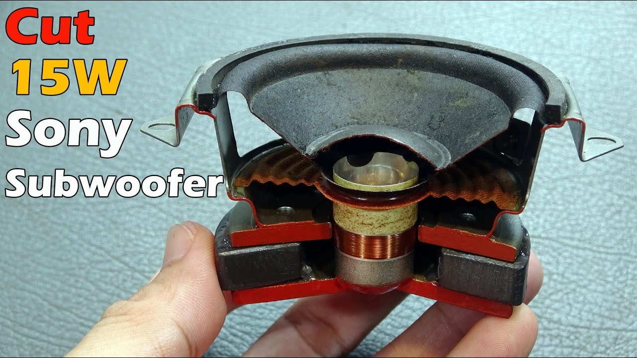Cut Speaker to see how it works inside