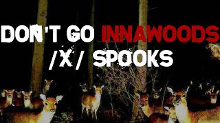 Strange Happenings Innawoods | 4Chan /x/ Spooky Greentexts