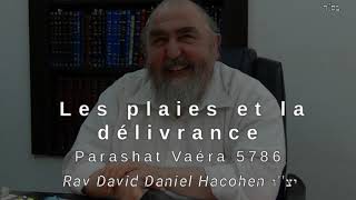 Les plaies et la délivrance screenshot 4
