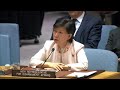 Post-Cold War Disarmament and Arms Control “is Eroding” - Security Council Briefing
