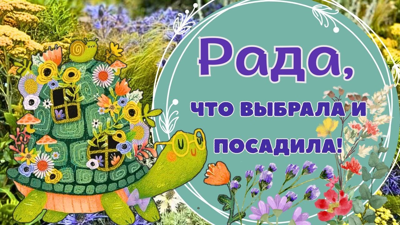 Что посадить в саду с многолетников, злаков, хвойных и кустарников? Обзор моих сортов в цветниках.