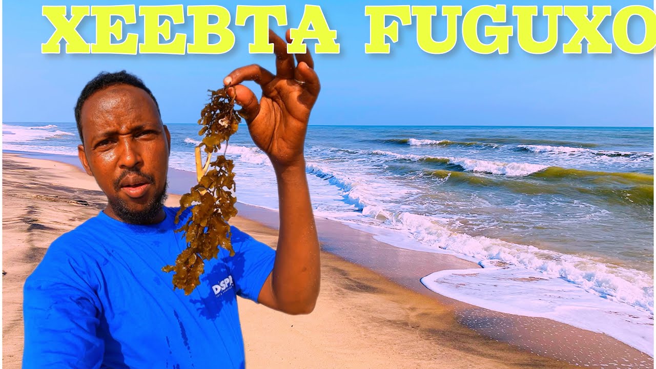 XEEBTA UGU NADIIFSAN #somaliland . #2024