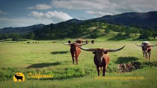 Doren morgan california outdoor properties "social distancing 60" tv
ad