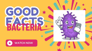 Bacteria Can Talk to Each Other! The Secret Language of Microbes