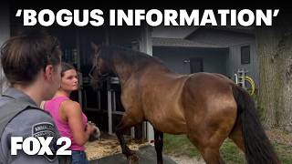 Metro Detroit business owner filed motion to get horses back