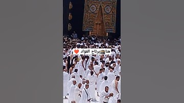 هنا يرتاح #الفؤاد ❤️🕋 #ماهر_المعيقلي #سورة_الحج #اكسبلور #السعودية #الكعبة_المشرفه