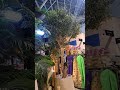 Tum deen sikhao beti ko #shortvideo #flowers #dubai #art#artist #ytshorts #adorablevideo #happygirls