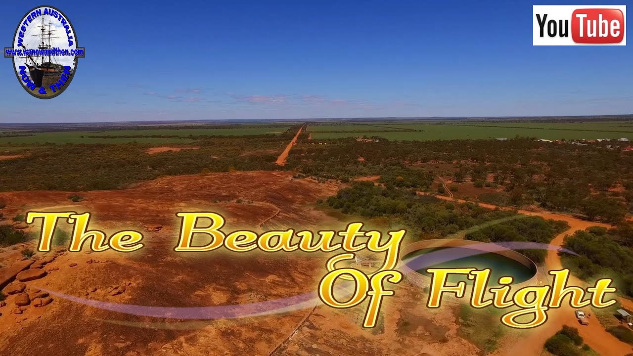 The Beauty of Flight