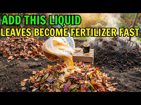 THIS LIQUID TURNS DRY LEAVES INTO ORGANIC FERTILIZER IN DAYS (EARTHWORMS LOVE THIS COMPOST)