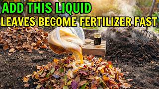 THIS LIQUID TURNS DRY LEAVES INTO ORGANIC FERTILIZER IN DAYS (EARTHWORMS LOVE THIS COMPOST) The Easiest Composting Ever Using Leaves