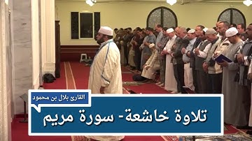 سورة مريم برواية قالون للشيخ بلال بن محمود .من صلاة التراويح ليلة 13رمضان 1440هـ