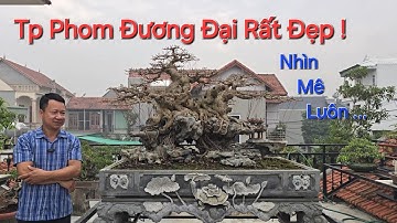 CHIÊM NGƯỠNG những Tp được làm THEO LỐI ĐƯƠNG ĐẠI RẤT ĐẸP - NV Anh HUẤN - PT Lần Đầu Đến Thăm .