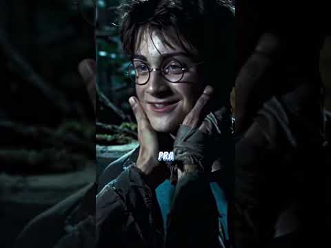 Você Sabia? Harry Potter