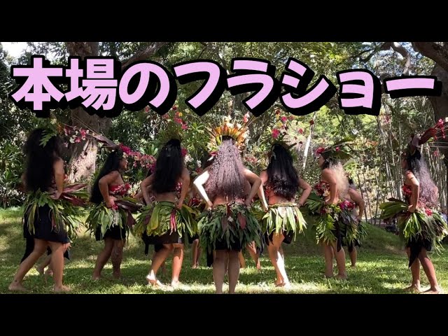 フラショー】素晴らしい本場ハワイのフラショー！！【ハワイの今