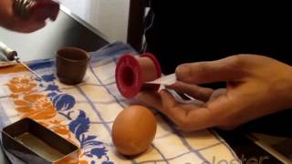 make a Homunculus