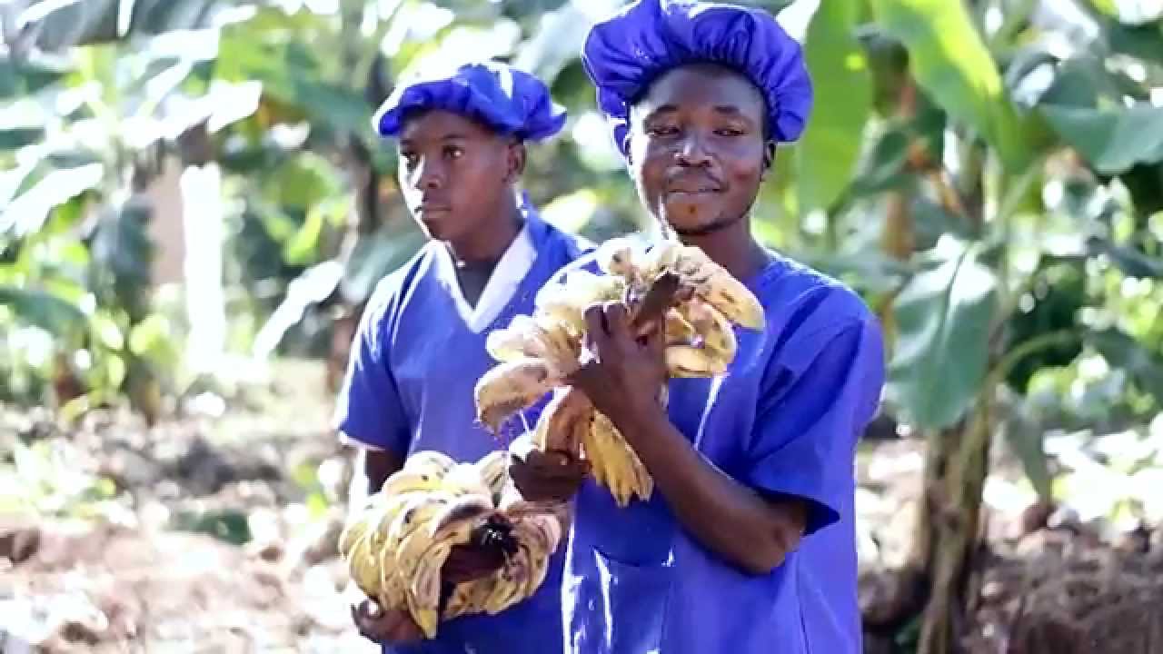 Harmony Banana Juice in Uganda YouTube