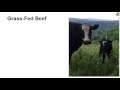 Grass Fed Beef Vs  Grain Fed Beef