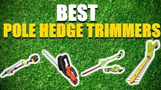 best pole hedge trimmer 2020