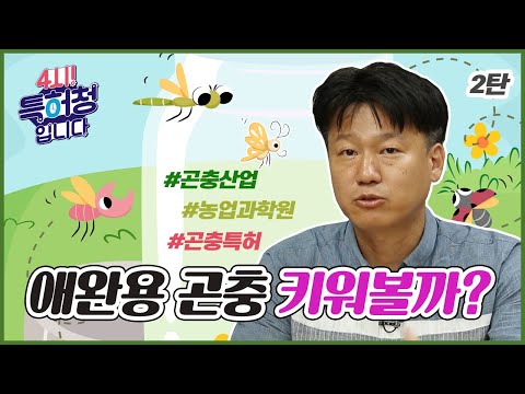 애완용 곤충 키워볼까?②
