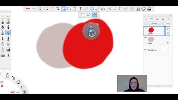 Autodesk SketchBook- Layers