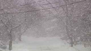 Video Now: West Bay snow