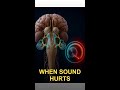 Why everyday sounds can feel painfully loud
