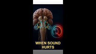 Why everyday sounds can feel painfully loud