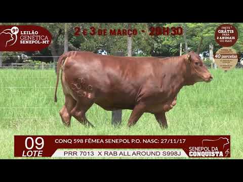 LOTE 09 CONQ 598