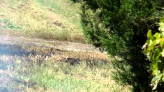 More of the Hwy 11 car fire Oct. 4