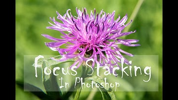 focus stacking - a simple guide to Focus stacking in Photoshop