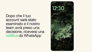 Quali Azioni Eseguire Se Il Tuo Account Whatsapp È Stato Sospeso Whatsapp