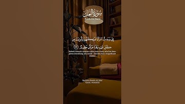 تلاوة جميلة بصوت القارئ علي جابر سورة النمل #قرآن #قران_كريم #تلاوة_هادئة #تلاوات